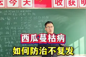 西瓜蔓枯病如何防治不复发？西瓜蔓枯病和根腐病用什么药效果好！视频封面