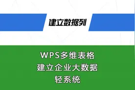 建立企业大数据轻系统第一步，总表数据列的设置视频封面