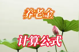 退休人员注意了，养老金计算公式来了，快来看看你能领多少视频封面