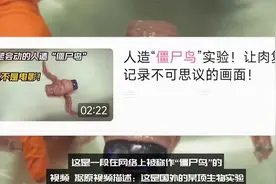 恐怖的“僵尸鸟”实验！人造生命体真的存在吗？视频封面