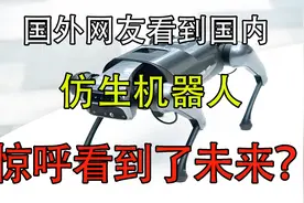 外国人看中国宇树最新升级的仿生机器人！这就是未来！太厉害了视频封面