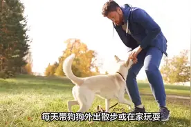 狗狗便秘怎么办?视频封面