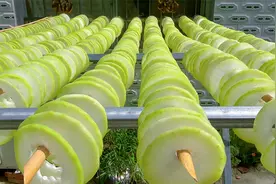 晒冬瓜干，晒干后比新鲜冬瓜好吃，炖肉香蒸包子香，详细做法