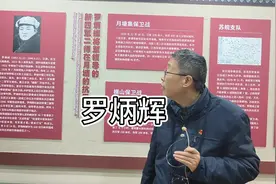 罗炳辉#仪征#巫晨视频封面