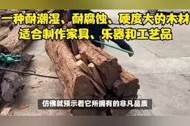 一种耐潮湿、耐腐蚀、硬度大的木材，适合制作家具、乐器和工艺品视频封面