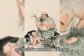 神农尝百草@#中草药知识 #民间传说 #植物科普 #一日一植物视频封面