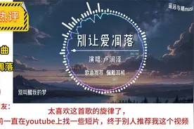 网络神曲《别让爱凋落》收获外国网友芳心，越南网友真的爱中文歌