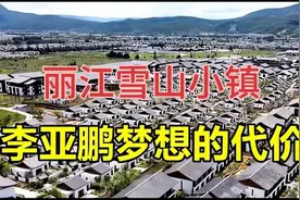第一次进军房地产就亏损几个亿，李亚鹏的雪山艺术小镇视频封面