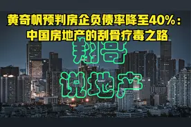 黄奇帆预判房企负债率降至40%：中国房地产的刮骨疗毒之路视频封面