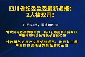 四川省纪委监委最新通报：2人被双开！