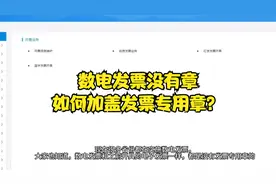 全电发票开具出来没有章，客户非要章，怎么办？视频封面