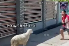 400. 认不认识我？敢不敢跟我比划比划🤣视频封面