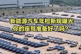 新能源汽车年检新规曝光，你的座驾准备好了吗？视频封面