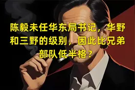 陈毅未任华东局书记，华野和三野的级别，因此比兄弟部队低半格？视频封面