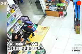女子路边捡了一只小猫，没想到猫妈妈直接追过来了视频封面