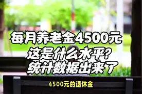 2024年退休后，每月养老4500元，这是什么水平？统计数据出来了
