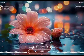 40首超好聽的流行歌曲💝我期待的不是雪 , 一直很安靜,  錯位時空