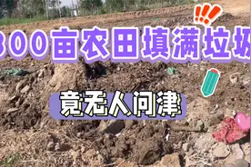 银川300亩农田堆满建筑垃圾无人问津，说白了，只有农民关心土地视频封面