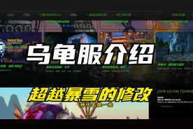 什么是乌龟服！乌龟服介绍