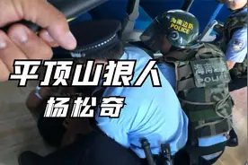 河南超级狠人杨松奇，八年间连环作案，最终下场如何？视频封面