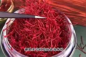 女人花“藏红花”，秋季种上就开花，花丝泡水，还能赏花