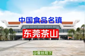 中国食品名镇：东莞茶山视频封面
