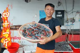 最近开海兰花蟹真便宜，阿壮400块直接买了10斤，一家人吃过瘾了视频封面