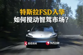 特斯拉FSD入华 如何搅动智驾市场？视频封面
