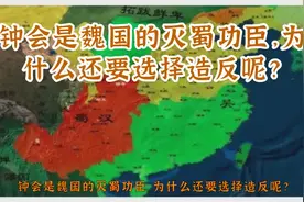 钟会是魏国的灭蜀功臣，为什么还要选择造反呢？视频封面