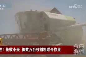 高效！抢收小麦 俄数万台收割机联合作业视频封面