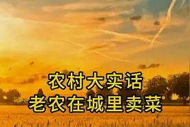 农村大实话，老农在城里卖菜视频封面