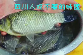 做鲫鱼还是四川人有一套，这样烧滋滋入味没小刺，意想不到的好吃