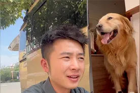 带着两只大型犬自驾游，深度揭秘旅行博主的一天，太真实了！视频封面