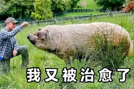 他回农村包下1200亩地，用10年拍下整个种地过程，最后年入百万！视频封面