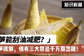 吃笋能刮油减肥？春笋很鲜，但有三大禁忌千万别忽视！视频封面
