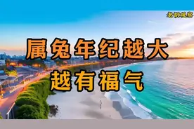 60岁以上的属兔的福气满满视频封面