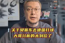 关于樊振东去德国打球，大哥分析的太到位了，听他怎么说的吧