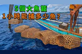 小哥用几个大竹篓就能在海里捕那么多的鱼 当地鱼情太好了