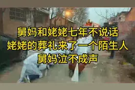 舅妈和姥姥七年不说话，姥姥的葬礼来了一个陌生人，舅妈泣不视频封面