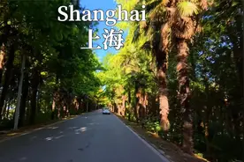 开车前往奉贤区最南端 上海绝美的乡间道路 随塘河路｜4K视频封面