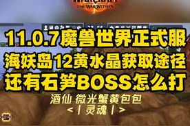 11.0.7魔兽世界正式服 海妖岛12黄水晶获取途径还有石笋BOSS怎么打 #魔兽世界正式服 #游戏主播 