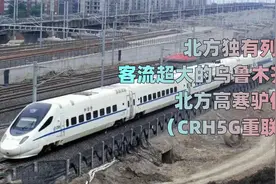【铁路纪行】北方高寒驴——CRH5G重联型二等座体验视频封面