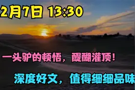 12月7日 13:30 一头驴的顿悟，醍醐灌顶！深度好文，值得细细品味视频封面