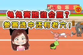 龟兔赛跑谁会赢？我力挺乌龟，可谁知参赛选中还有老六！视频封面