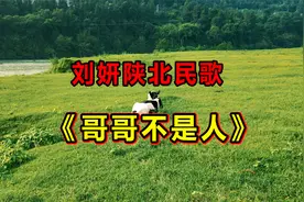 一首陕北民歌《哥哥不是人》太好听了，旋律优美歌声令人陶醉！视频封面