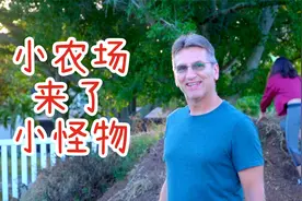 农场里来了只小怪物，被我们抓到了！我很想念他们！