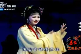 锡剧经典，名家周东亮董云华演唱，真能说不愧是名家风范视频封面
