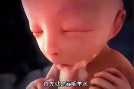 你知道胎儿每天都在宝妈肚子里做些什么吗？  #科普 #涨知识视频封面