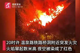 山东泰安一铁路桥附近突发火灾  夜空被染成红色