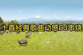 老歌新唱，十首经典歌曲动感DJ串烧，最经典的歌曲，快来收藏吧